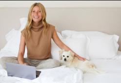 "Vulva Book": l'idea regalo per Natale proposta da Gwyneth Paltrow