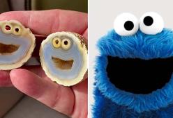 Scoperta una roccia vulcanica che assomiglia a Cookie Monster in modo assurdo