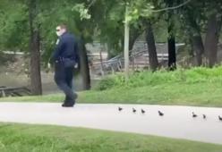 Poliziotto aiuta gli anatroccoli a ritrovare la mamma nel parco di Houston