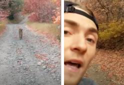 Rincorso da un puma mentre corre sulle montagne: il video shock 