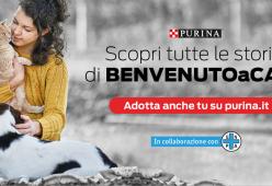 Scopri #BENVENUTOACASA la piattaforma dedicata alle adozioni