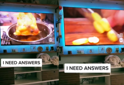 Su Tik Tok il video le patate si cuociono direttamente nel sacchetto