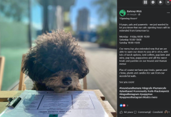 A Londra ha aperto il primo cocktail bar per cani