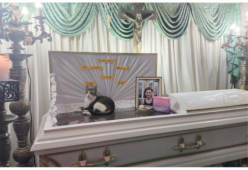 Filippine: il gatto resta sulla bara del padroncino morto per tutto il funerale