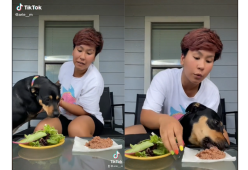 Il video della cagnolina vegetariano “per scelta” che fa sorridere il web 
