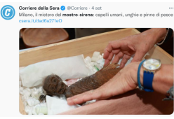 Al Museo di Storia Naturale di Milano c’è una sirenetta mostruosa
