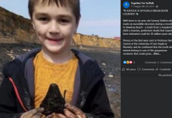 Bimbo di 6 anni a caccia di conchiglie trova un dente di megalodonte
