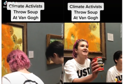 I Girasoli di Van Gogh imbrattati con la salsa di pomodoro dalle ecologiste