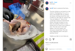 Nasconde la pistola nel pollo crudo e tenta di passare i controlli all’aeroporto