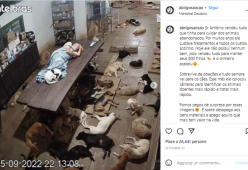 Ha venduto tutto per occuparsi di 800 cani randagi: ora dorme sul tavolo