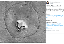Un orso su Marte? La buffa foto della Nasa fa sorridere tutti
