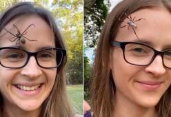 Il massaggio rilassante di questa ragazza è fatto da enormi ragni