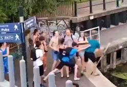 Prende a calci un cigno: un uomo interviene ma viene spinto nel canale