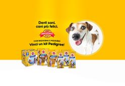 Gioca a “DENTI SANI, CANI PIU’ FELICI”, il nuovo contest di RadioBau e Pedigree Dentastix
