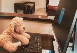 Bimba dimentica in hotel il suo orsacchiotto: lo staff glielo spedisce mostrandole cosa ha fatto in sua assenza