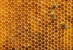 Hai paura dei buchi? Sei affetto da tripofobia: ecco cause e sintomi
