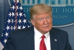 Chiedono a Trump se grazierebbe Joe Exotic di Tiger King e lui risponde: “Ci penserò”
