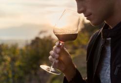 Assaggiatore di vini cercasi: oltre 200 euro a degustazione