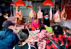 L'Onu chiede di vietare i mercati di animali selvatici in tutto il mondo