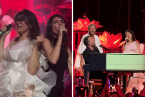 Elisa conquista San Siro con uno show epico e tantissimi ospiti