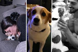 Cecilia Rodriguez e Ignazio Moser in lutto: è morto il cane Aspirina 