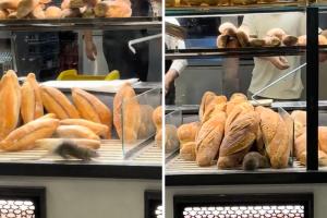Topo scorrazza tra i panini nella vetrina di un panificio: il video