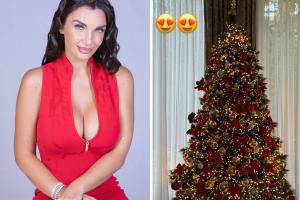Per Elettra Lamborghini è già Natale: come ha addobbato l’abete