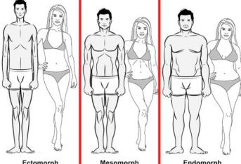Ectomorfo, Mesomorfo e Endomorfo 