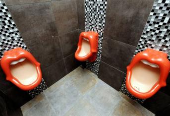 In quale WC vorresti farla? A ciascuno il suo…