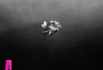 Flood (feat. Obongjayar & Moonchild Sanelly)