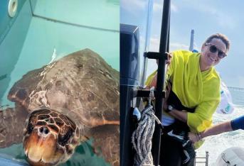 Federica Pellegrini libera una tartaruga in mare: “Ne sono felice”