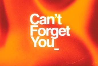 Can't Forget You (feat. James Blunt)