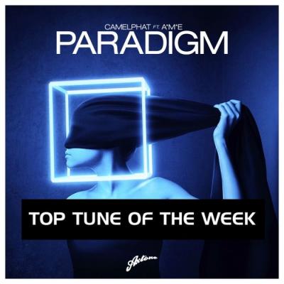  Paradigm (Original Mix)