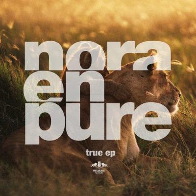 True (Original Mix)