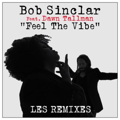 Feel The Vibe (Erik Hagleton Remix)