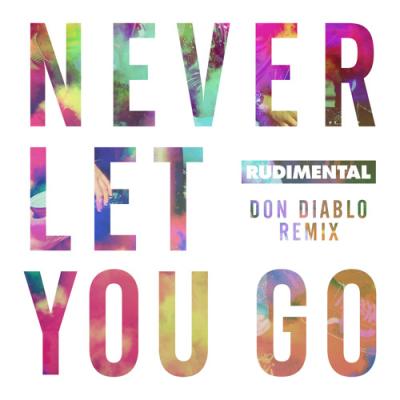 Never Let You Go (Don Diablo Remix)
