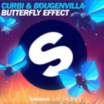 Butterfly effect
