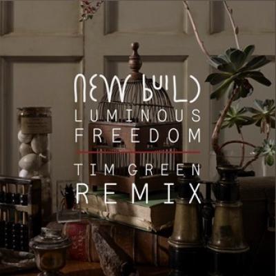 Luminous Freedom (Tim Green Remix)