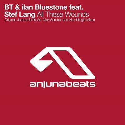 All These Wounds (Rmx)