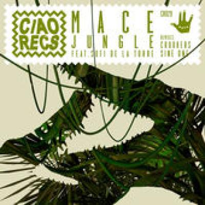 Jungle (Crookers Rmx)