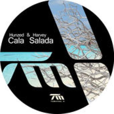 Cala Salada (David Mayer Rmx)