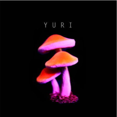 Yuri