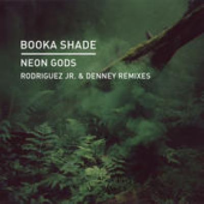 Neon Gods (Rodriguez Jr Remix)