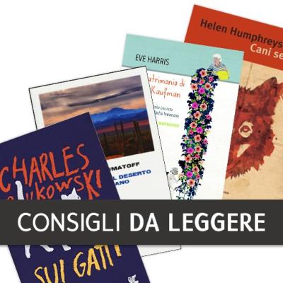 SummerBook 23 luglio 2016