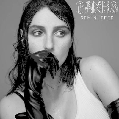 Gemini Feed (Skt Mix)