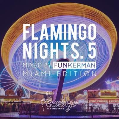 Lost In The Bassdrum [Flamingo]
