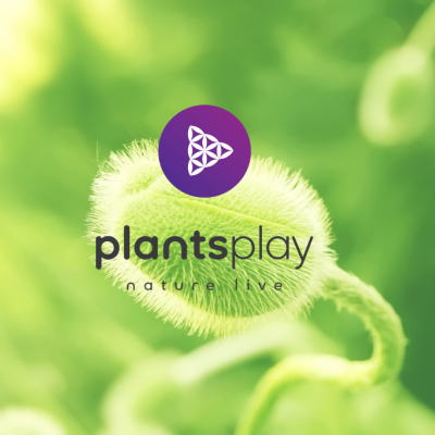 Hai perso "105 Start-up"? Riascolta la storia di Edoardo Taori, CEO e Founder di Plantsplay