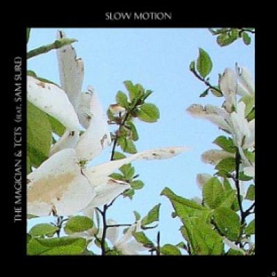 Slow Motion