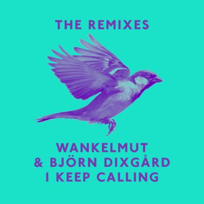 I Keep Calling (Boris Dlugosch Remix)