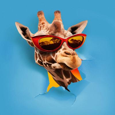 Jambo (feat. Omi & Giusy Ferreri)